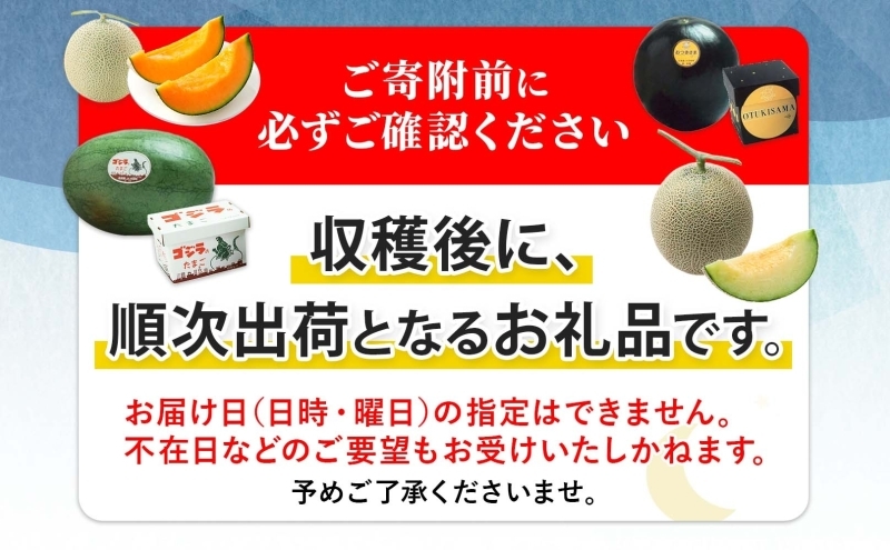  【2026年夏発送】北海道 赤肉メロン 北の女王 青肉メロン 月雫 秀品 約1.6kg 各1玉 令和8年 メロン 果物 フルーツ 旬 希少 甘い 豊潤 国産 産地直送 ギフト お祝い 贈答品 贈り物