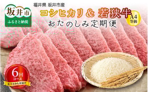 【定期便 6回コース】 坂井市産コシヒカリ 計30kg ＋ 若狭牛A4等級がっつり 3kg [N-3206]