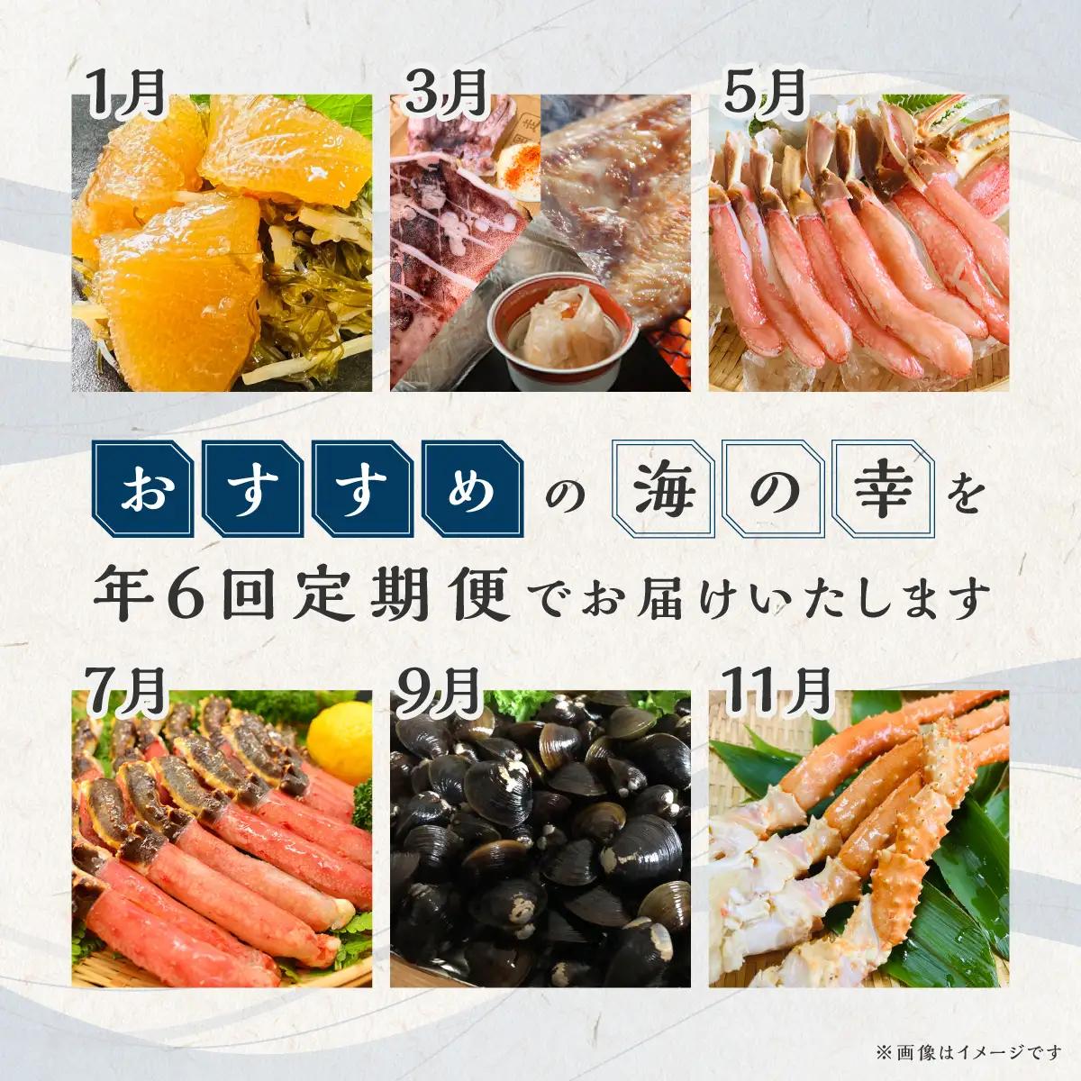 【定期便】オホーツク海鮮グルメ定期便 6回 ※着日指定不可 ※離島への配送不可 ABAO068 | 定期便