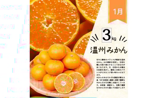 【4か月定期便】旬の柑橘定期便 / みかん ミカン 柑橘 オレンジ 果物 くだもの フルーツ フルーツ定期便 和歌山【tkb416】
