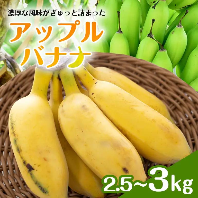 アップルバナナ2.5～3kg 194-6