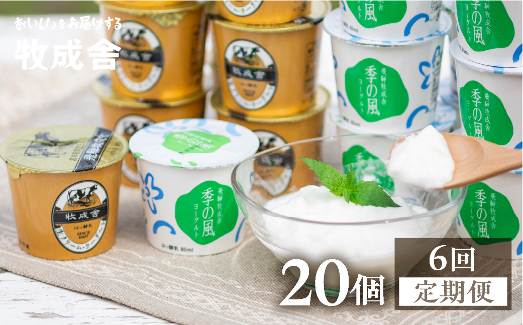 
                  ＜8月から寄附額改定＞《定期便》牧成舎 ヨーグルト20個セット 6ヶ月定期便 生クリームヨーグルト 季の風 2種類
                