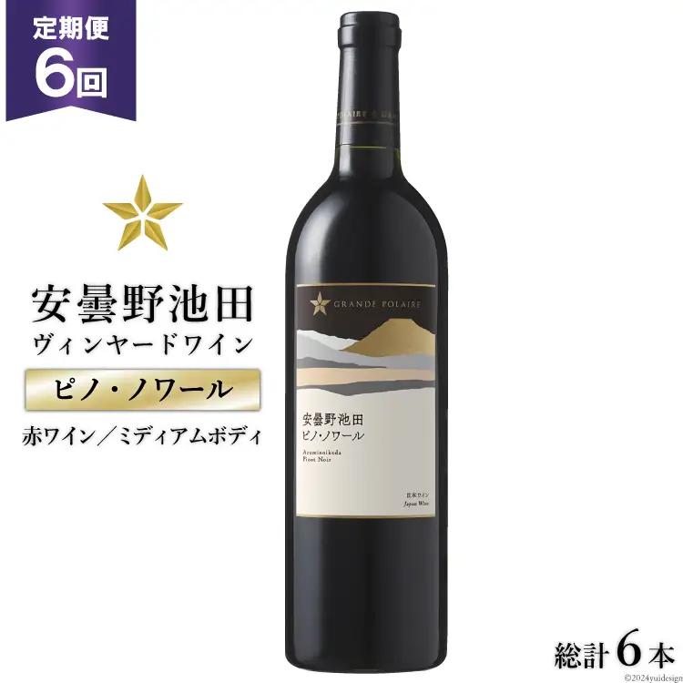 定期便 6回 赤ワイン サッポロ グランポレール 安曇野池田ヴィンヤード 「ピノ・ノワール」 750ml 総計 6本