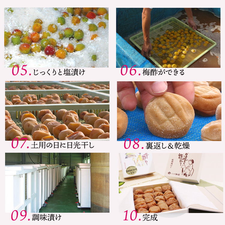 【贈答用】紀州南高梅 白干梅干し 400g 化粧箱入 | ギフト プレゼント 国産 ※北海道・沖縄・離島への配送不可
