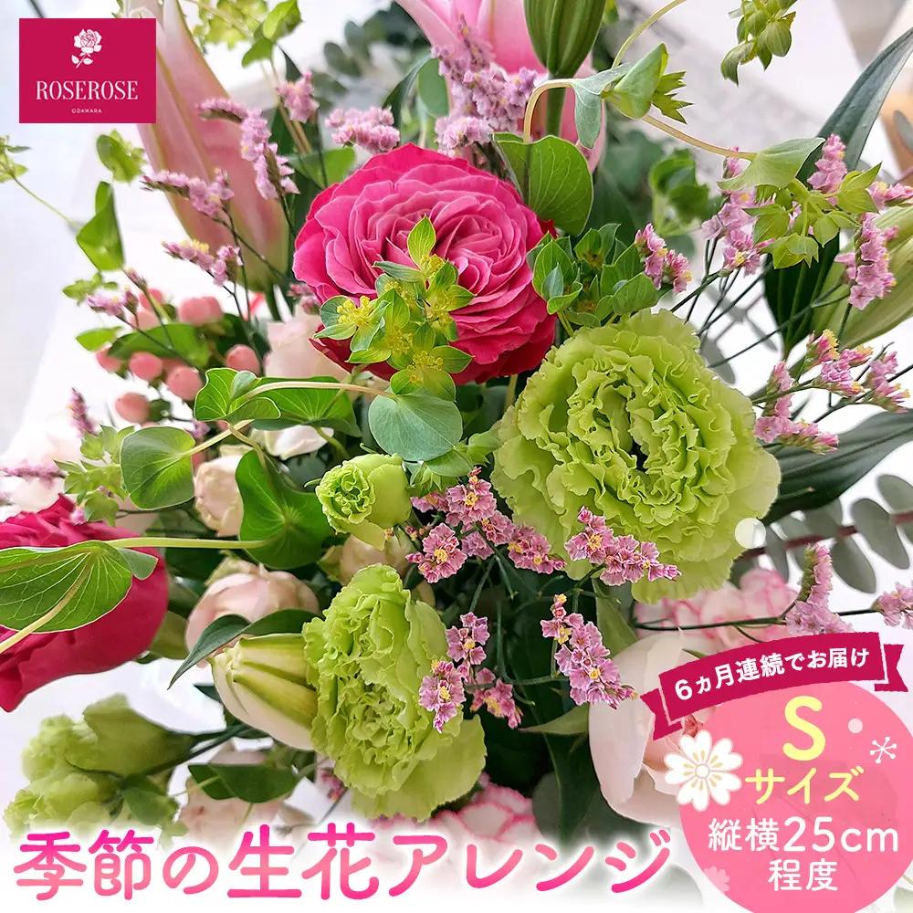 【定期便６ヵ月】季節の生花アレンジ　Sサイズ　６ヵ月連続でお届け 【 フラワー アレンジメント お花 ギフト プレゼント 贈り物 誕生日 お祝い 神奈川県 小田原市フラワー アレンジメント 】