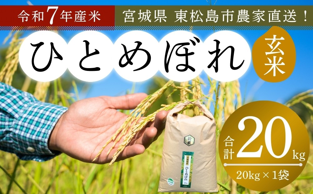 
            【 令和7年産】【新米】【2025年10月中旬～下旬順次発送予定】 ひとめぼれ 玄米 20kg × 1袋 宮城県産東松島市農家直送 ヒトメボレ 米 ご飯 ごはん おにぎり お弁当 お米 こめ 宮城県 東松島市 オンラインワンストップ 自治体マイページ
          