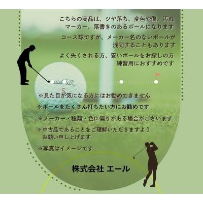 ふるさと納税 河内長野市 ロストボール 20球×3袋 ゴルフボール 中古 洗浄済み |  | 01