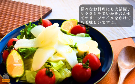 徳之島の漁師が荒波で釣り上げたそでいか 冷凍お刺身用小分け柵 1.5kg（約15人前） （ ソデイカ いか イカ 大型のいか 回遊 お刺身 甘い ねっとり 冷凍 新鮮 お寿司 料理 徳之島 奄美 沖縄