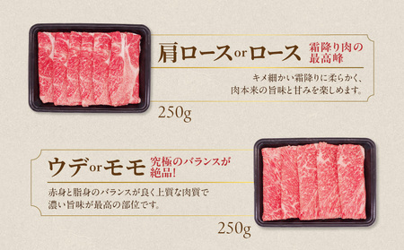 畜産農家応援! 宮崎牛スライス2種セット250g×2パック+豚肉ハンバーグ100g×4個_13-N201-ESH_(都城市) 宮崎県産宮崎牛 肩ローススライス 宮崎牛ウデ又はモモスライス すき焼き し