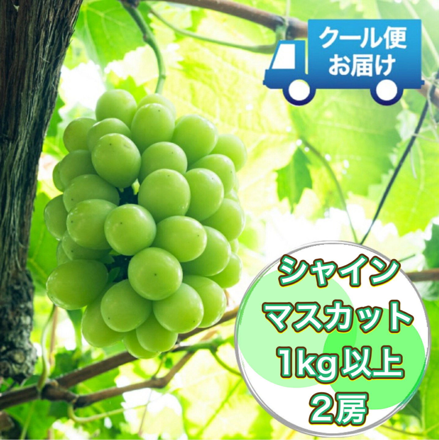 【ふるさと納税】 クール便で新鮮にお届け！　シャインマスカット　1kg　2房 ふるさと納税 おすすめ 山梨県 南アルプス市 送料無料 ALPEG002
