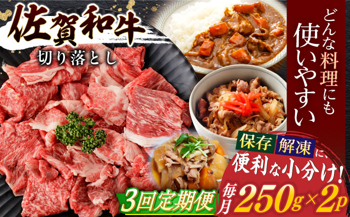 【3回定期便】佐賀和牛 切り落とし 計500g(250g×2p) / 佐賀和牛 佐賀県産黒毛和牛 牛肉【一ノ瀬畜産】 [NAC162]