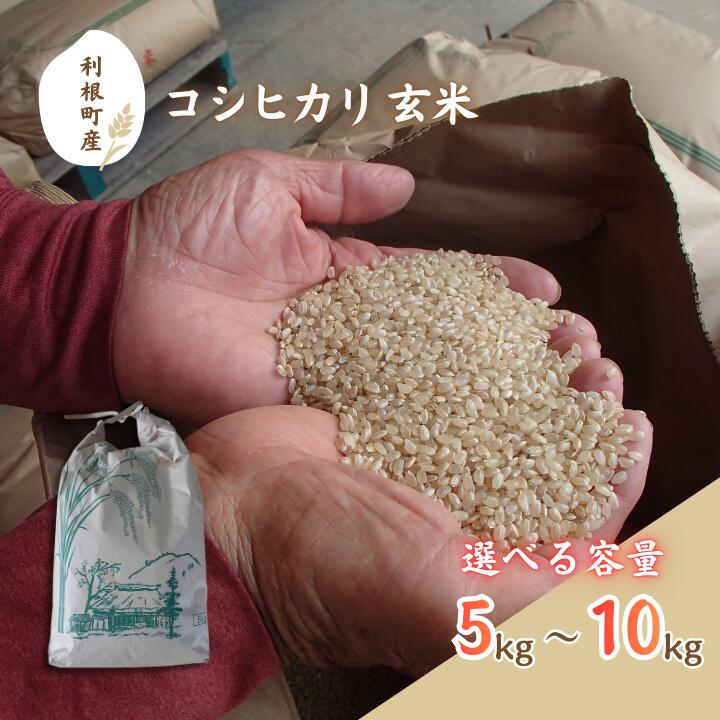 【ふるさと納税】 利根町産　コシヒカリ　玄米　5kg~10kg ／ 米 こめ コメ お米 おこめ コシヒカリ こしひかり 令和7年産 新米 玄米 ごはん ご飯 5kg 10kg 健康志向 茨城県 利根町 産地直送 送料無料