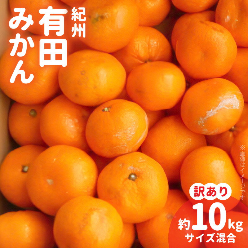 【ふるさと納税】【2025年先行予約】紀州 有田みかん 約10kg 2S～2Lサイズいずれか【訳あり 家庭用】【サイズ混合】【ミカン 蜜柑 柑橘 温州みかん 有田みかん】