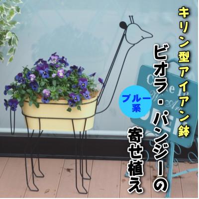 ふるさと納税 朝倉市 キリン型のアイアン鉢　ビオラ・パンジーの寄せ植え