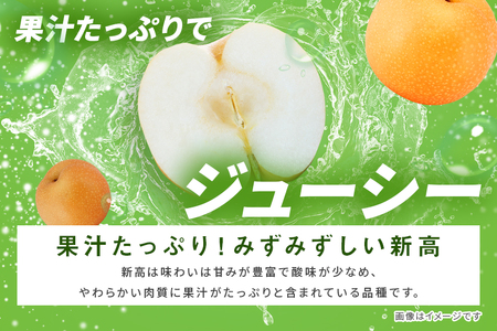 訳あり 新高 梨 3kg 柴沼梨園 BX-022