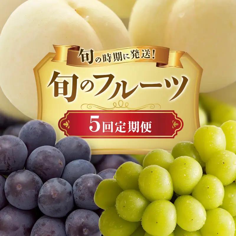 フルーツ定期便 白桃 ニューピオーネ シャインマスカット フルーツ定期便【5回】【先行予約】
