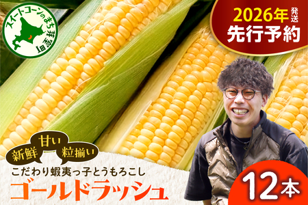 レビューキャンペーン実施中！【先行受付】【2026年7月25日～8月15日頃発送予定】朝採りをお届け！ 北海道十勝芽室町　蝦夷っ子とうもろこし ゴールドラッシュ 12本 スイートコーン ゴールドラッシュ キャンプ飯 BBQ ソロキャン人気 トウモロコシ 生 野菜 北海道 十勝 芽室町 送料無料 お取り寄せ me076-009c-26