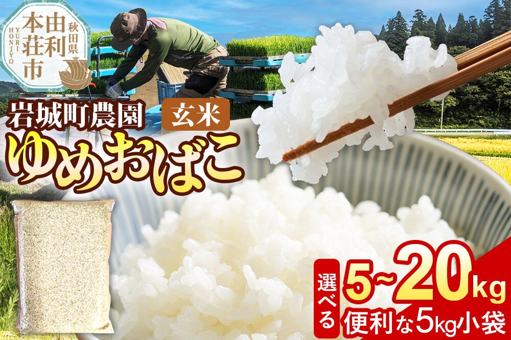 
                  【玄米】ゆめおばこ 秋田県産 岩城町農園のゆめおばこ 令和7年産【選べる容量：5kg（5kg×1袋）／10kg（5kg×2袋）／15kg（5kg×3袋）／20kg（5kg×4袋）】ゆめおばこ 真空パック 岩城町農園 [ゆめおばこ 米 お米 こめ 玄米 食卓 ご飯 ごはん おにぎり 秋田県 由利本荘市]
                