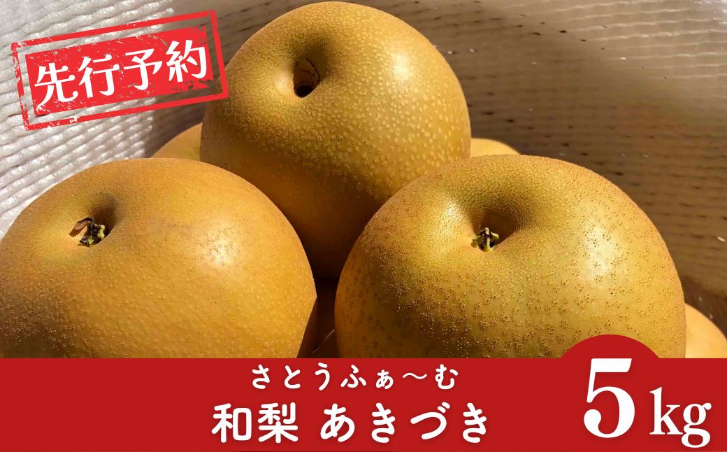 
                  先行予約 和梨 あきづき 約5kg 令和8年度 新潟県産 梨 [さとうふぁ～む] 【014S011】
                