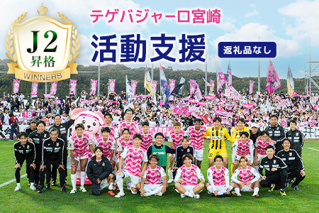 【サッカー 支援】 テゲバジャーロ 宮崎 J2 昇格 応援 1,000,000円 S28-06