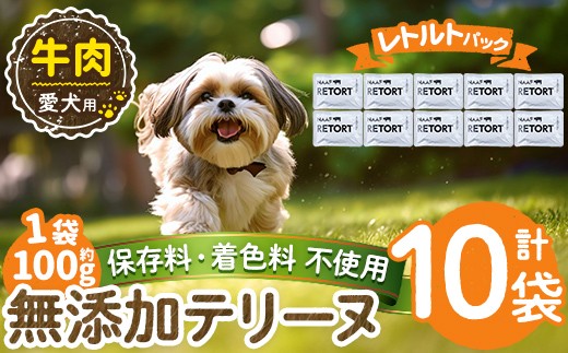 a1084-D ＜保存料・着色料 不使用＞愛犬用無添加テリーヌ レトルトパック 牛テリーヌ10袋(1袋約100g・合計約1kg)【Nフードサービス】姶良市 牛 テリーヌ 犬 ドッグ ペット フード エサ レトルト おやつ ごはん ご飯 間食 ご褒美