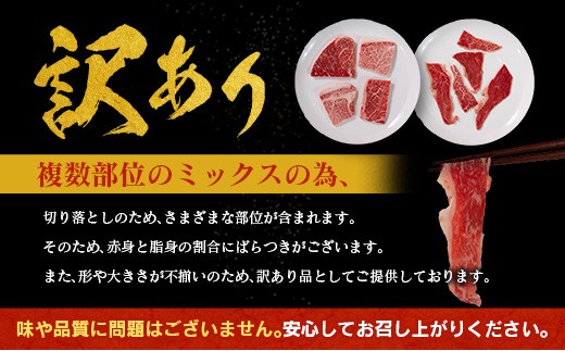 ＜2026年9月お届け＞［訳あり］宮崎県産 黒毛和牛 切り落とし（スライス）計500g 国産 牛肉【A351-S-09】