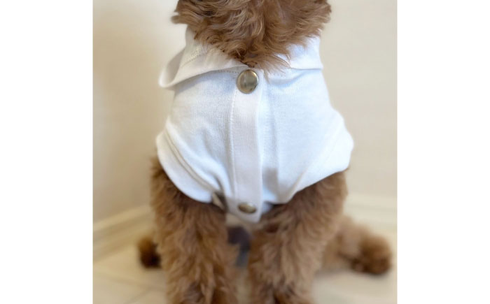コットンパーカー ホワイト（ワンちゃん用）（SS/S/MM/Mサイズ） / ドッグウェア ペット用品 犬用 服 お揃い / 佐賀県 / Canis Lupus [41AAAN004]
