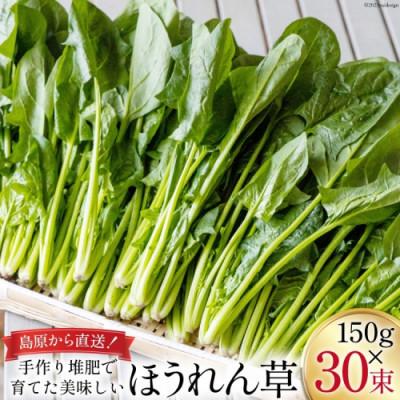 ふるさと納税 島原市 【毎月定期便】産地直送　ほうれん草　30束全6回