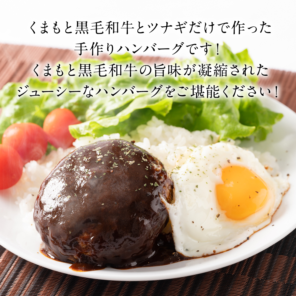 くまもとDREAMバーグ 150g×5 くまもと黒毛和牛100% ハンバーグ 黒毛和牛 おかず 惣菜 洋食 お肉 肉 牛肉 にく 冷凍 熊本県 八代市_イメージ3