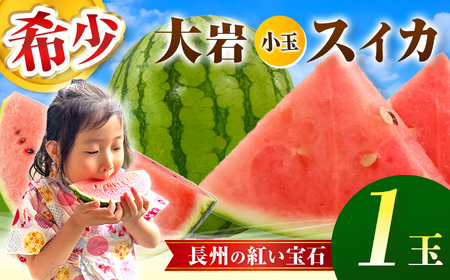 甘くて 果肉 たっぷり！ 大岩 こだま スイカ 1玉 「 神秘の里 大岩郷 よりお届け 長州の紅い宝石 」 先行予約 ＜ 2026年 7月下旬 ～ 8月頃 発送予定 ＞