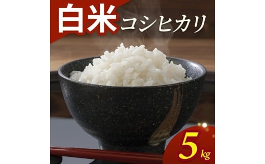 令和7年産【白米】コシヒカリ　5kg(5kg×1袋) YA SA2844