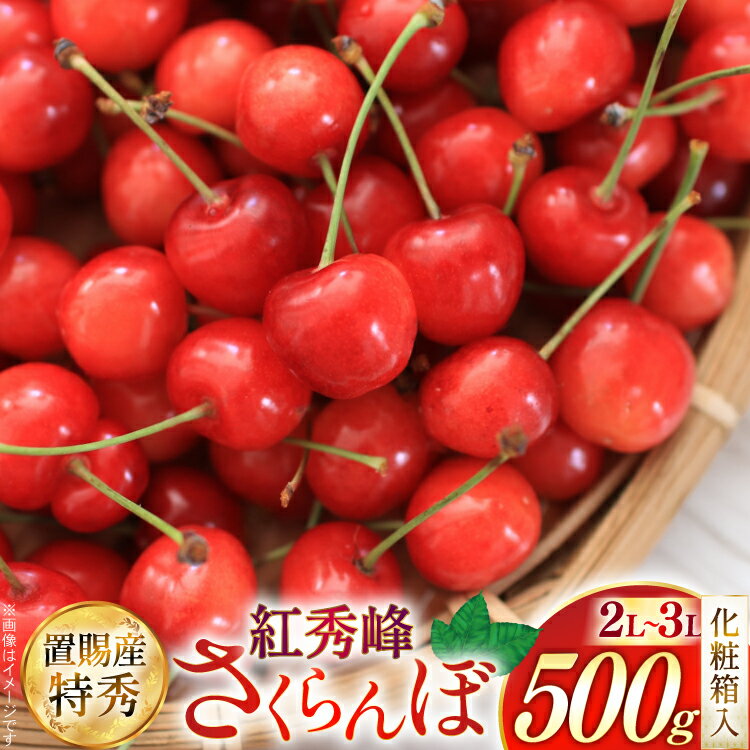 【ふるさと納税】 【期間限定発送】 さくらんぼ 置賜産 紅秀峰 特秀 2L～3L 500g 化粧箱入り [JA山形おきたま 山形県 高畠町 tk06ays870049] サクランボ チェリー 山形 果物 フルーツ くだもの