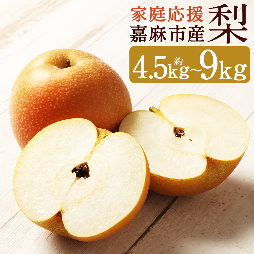 【ふるさと納税】【家庭応援】梨 約4.5kg+1玉 ／ 約9kg+1玉 《選べる内容量》 幸水 豊水 二十世紀 あきづき 新高 新興 南水 王秋 果物 フルーツ 果実 九州産 国産 福岡県産 数量限定 期間限定 送料無料【2026年8月上旬～12月上旬発送予定】