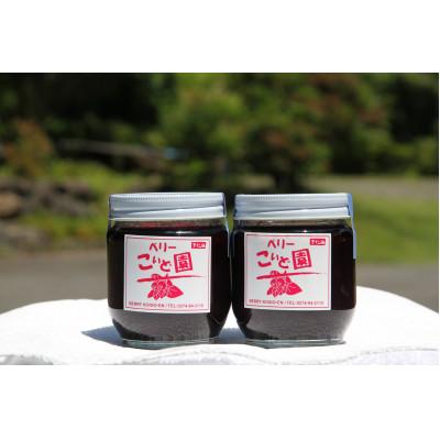 ふるさと納税 下仁田町 ラム酒かおるブルーベリーソース200g×2本