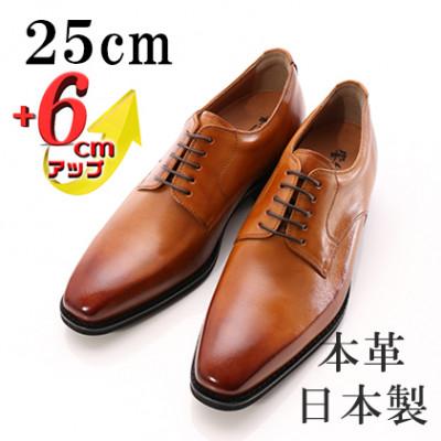 ふるさと納税 大和郡山市 牛革外羽根プレーン 6cmアップ メンズシークレットシューズ 紐 No.1931 キャメル 25cm