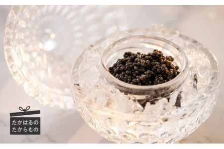 THE・CAVIAR(ザ・キャビア)　1,000g　TF0489-P00066