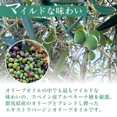 ふるさと納税 館林市 クラフトオリーブオイル　2種　ガーリック・バジル　100ml×各1本 |  | 01