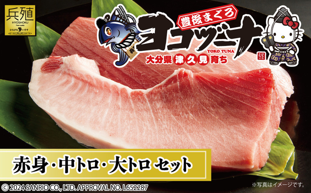 
                  【本マグロ / 豊後まぐろヨコヅーナ】豊後まぐろ ヨコヅーナ 贅沢セット 赤身250g 中トロ500g 大トロ250g入りの豪華セット | 本まぐろ 本マグロ まぐろ マグロ 中トロ トロ 大トロ 本鮪 大分県産 九州産 津久見市 
                