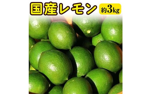 
国産レモン 約3kg アトランティスファーム《11月上旬-3月中旬頃出荷》和歌山県 紀の川市 フルーツ 果物 柑橘
