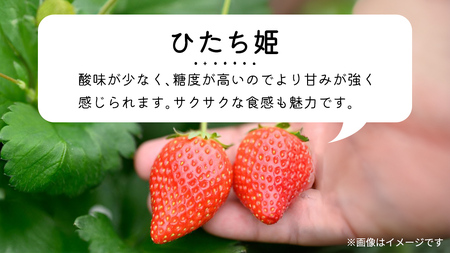 【 先行予約 】 【 定期コース 】 厳選 いちご 4パック 【 毎月 第2木曜に全3回発送 初回発送 2026年1月15日 】 ( 茨城県共通返礼品 : 常陸太田市 ) 約260g×4パック いばら