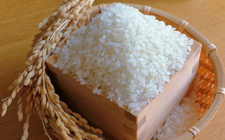 【令和7年度産】松島産ひとめぼれ5kg×2袋 No.093