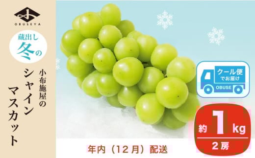蔵出し冬のシャインマスカット 約1kg 2房 年内配送 ［小布施屋 ］長野県 ぶどう フルーツ 果物 冷蔵便 クール便 令和7年産【2025年12月発送】［A-526］
