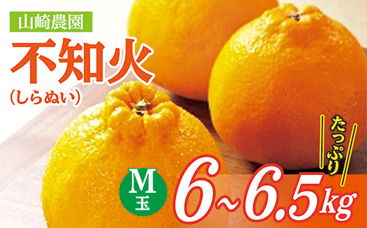 
            【数量限定】コクのある甘みとさわやかな酸味 不知火 しらぬい 6～6.5kg M玉 【３月末頃から順次発送】| 山崎農園の不知火（しらぬい） Ｍ玉 ６～６.５ｋｇ _b-121
          