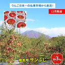 【ふるさと納税】【12月発送】贈答用 サンふじ 約3kg【青森りんご】　 果物 フルーツ デザート 食後 新鮮 甘味が強い ジューシー 産地直送 　お届け：2024年12月1日～2024年12月26日