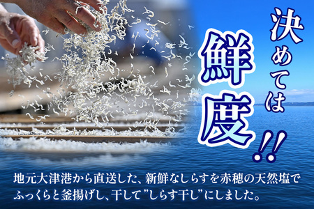 大津港水揚げのしらす干し 500g（茨城県共通返礼品・北茨城市産） A78-008