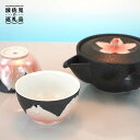 【ふるさと納税】【波佐見焼】ラスター 桜 茶器セット 急須 ティーポット 湯飲み 陶器 食器 皿 【岩永製陶】 [ZD22]