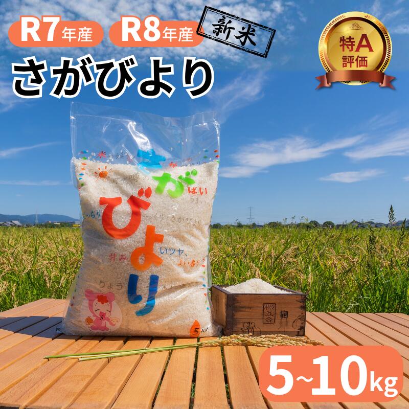 【ふるさと納税】「令和8年産（新米）」「令和7年産」 佐賀県産 さがびより 白米 選べる 5kg～10kg