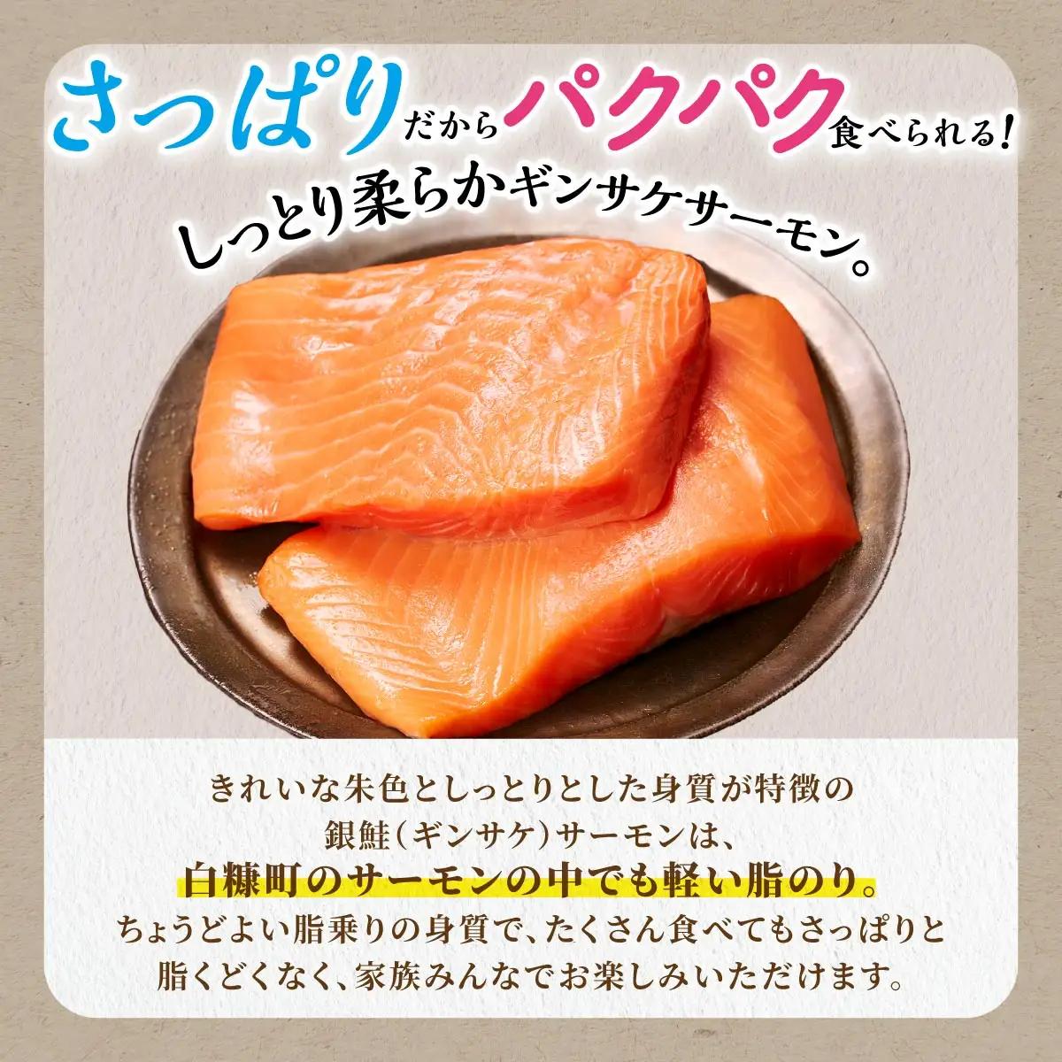 ギンサケサーモン【1kg】_T011-0905