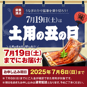 1652-1 鹿児島県産 うなぎ蒲焼き4尾セット KN058-002-04 国産 ウナギ 若うなぎ 新仔 西日本養鰻 ふるさと納税 鹿児島 鹿屋市 おすすめ ランキング プレゼント ギフト