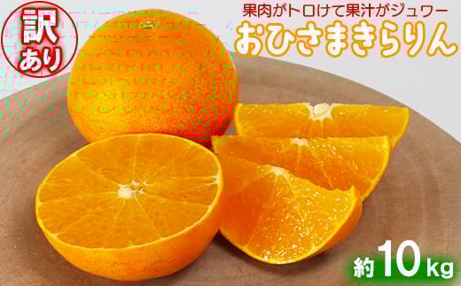 
            【訳あり・優品】今村農園の「おひさまきらりん 約10kg」 甘い オレンジ みかん ミカン 清美 12月発送 1月発送 先行予約 10kg わけあり 柑橘類 フルーツ ＜107-021_7＞
          